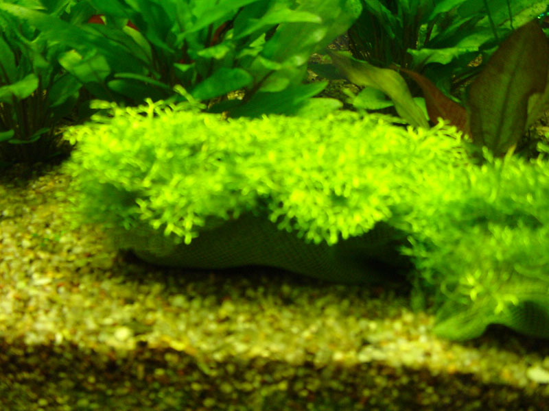 DSC05015